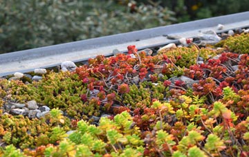 the cost of Briggswath green roof installation