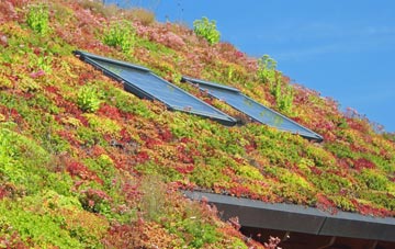 Briggswath living roof systems