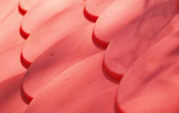 Briggswath plastic roof costs