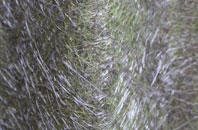 Briggswath fibreglass roof work